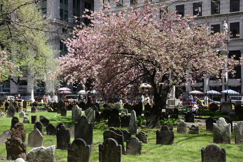 The northern part of the Trinity cemetery, where the second cemetery of New Amsterdam must have been once. (Photo Leon Bok, 2009)