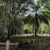 Suriname - District Para